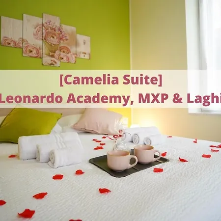 - Radice Comfort - Leonardo, Mxp & Laghi Villa