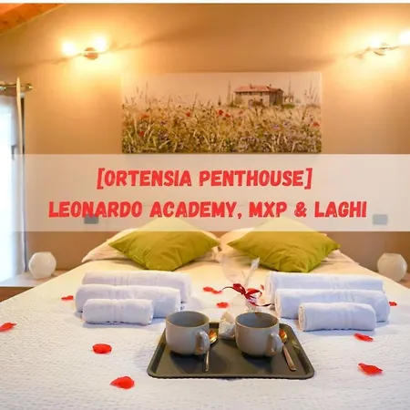 - Radice Comfort - Leonardo, Mxp & Laghi * 세스토 칼렌데