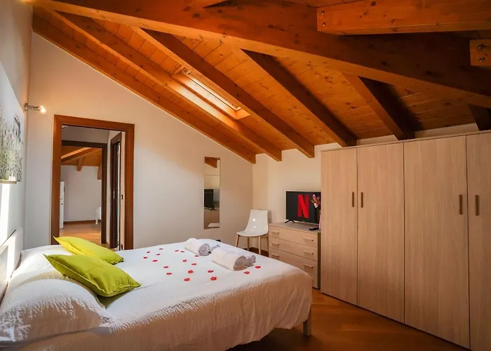 فيلة - Radice Comfort - Leonardo, Mxp & Laghi