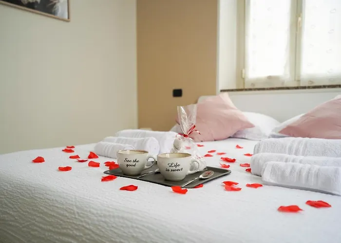 فيلة - Radice Comfort - Leonardo, Mxp & Laghi